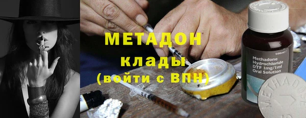 прущие грибы Сосновый Бор