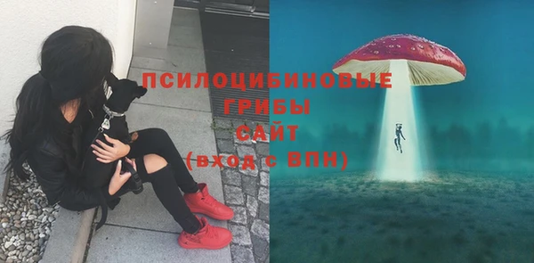 MDMA Premium VHQ Белоозёрский