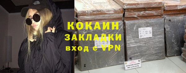 прущие грибы Сосновый Бор