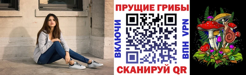 Псилоцибиновые грибы мицелий Будённовск